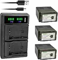 Amazon.com: Kastar 3-Pack VW-VBG6 Battery and LTD2 USB